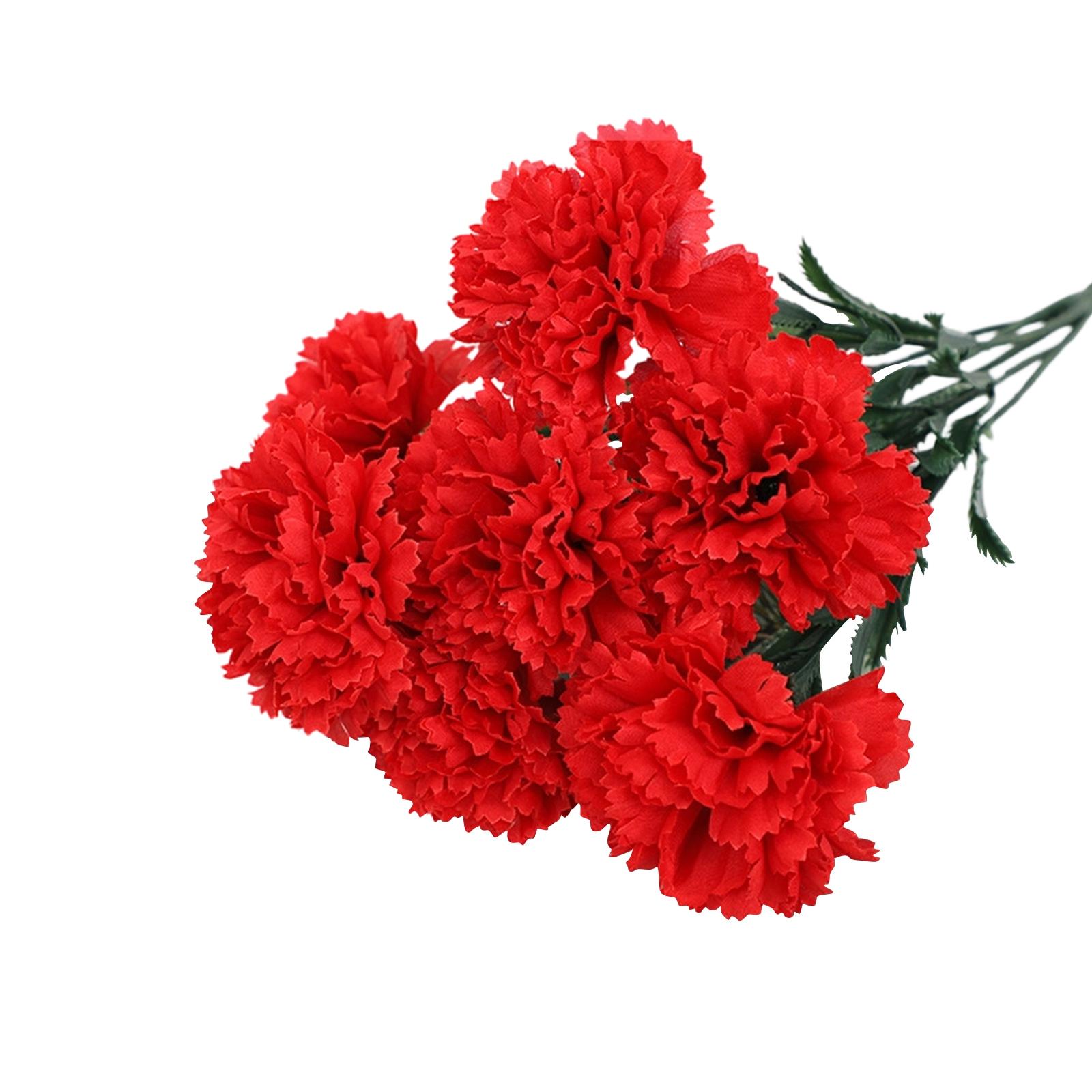 Artificial Carnation Flowers Bouquet Realistic Silk Material Lifelike Floral Arrangement for Home Office Decoration One Size червоний
Artificial Carnation Flowers Bouquet Realistic Silk Material Lifelike Floral Arrangement for Home Office Decoration One Size червоний