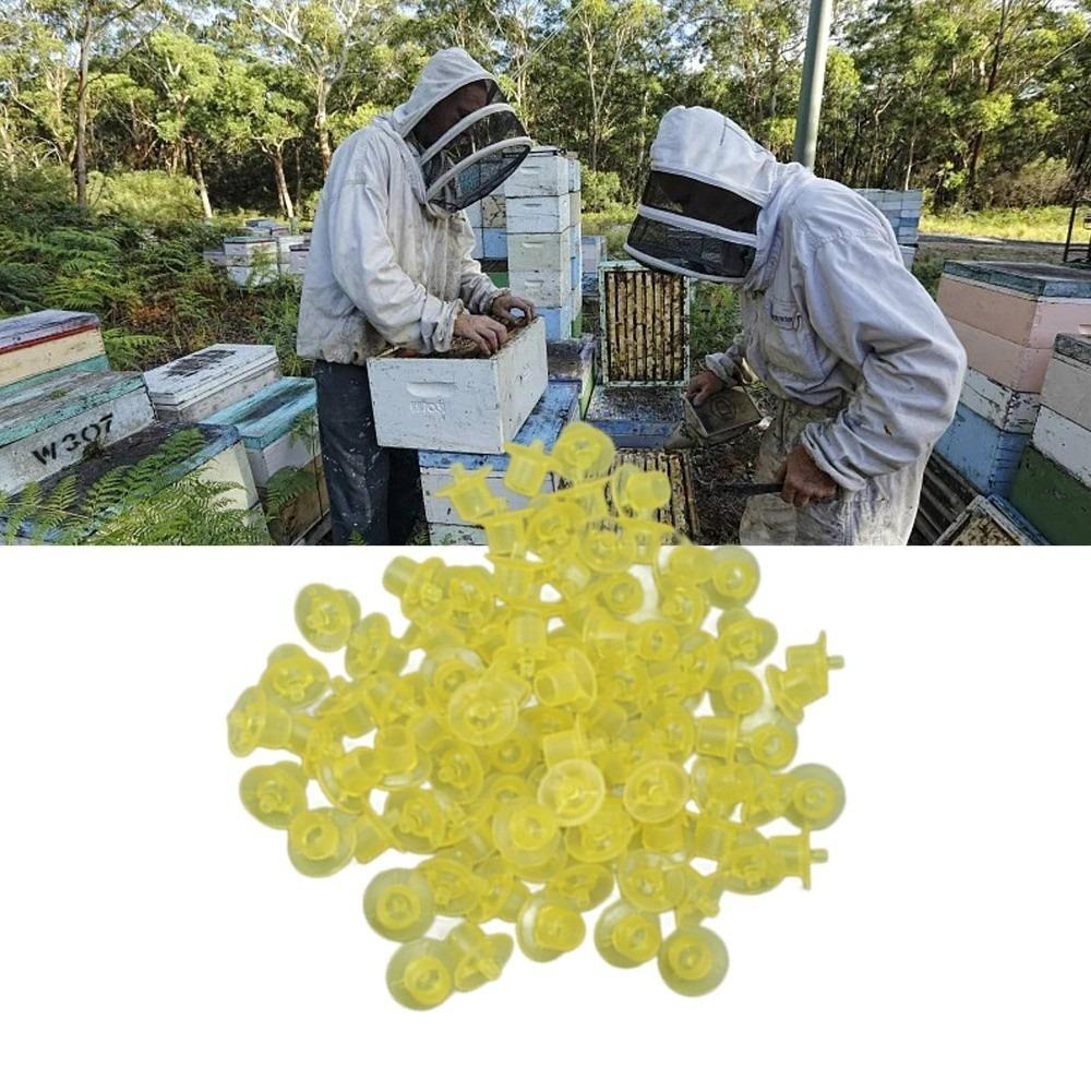 100Pcs Durable Queen Rearing Cups Colorful Queen Bee Rearing Bee Cell Cup Beehive Management жёлтый
100Pcs Durable Queen Rearing Cups Colorful Queen Bee Rearing Bee Cell Cup Beehive Management жёлтый