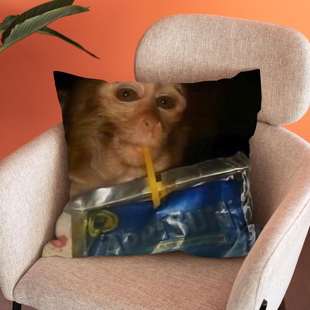 Monkey Sipping Caprisun Meme Pillow Case Soft Cushion Cases for Farmhouse Sofa Decor Home Decorations and Protector Pillow Case 30cmx30cm
Monkey Sipping Caprisun Meme Pillow Case Soft Cushion Cases for Farmhouse Sofa Decor Home Decorations and Protector Pillow Case 30cmx30cm