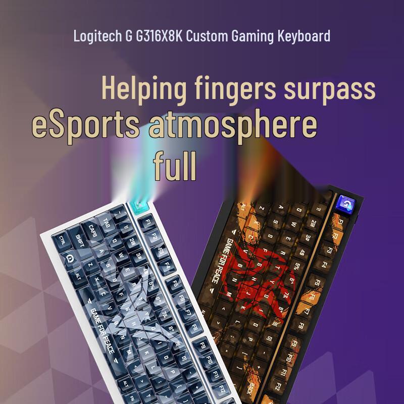 G316 X 98-Key Hot-Swappable RGB Mechanical Keyboard
G316 X 98-Key Hot-Swappable RGB Mechanical Keyboard