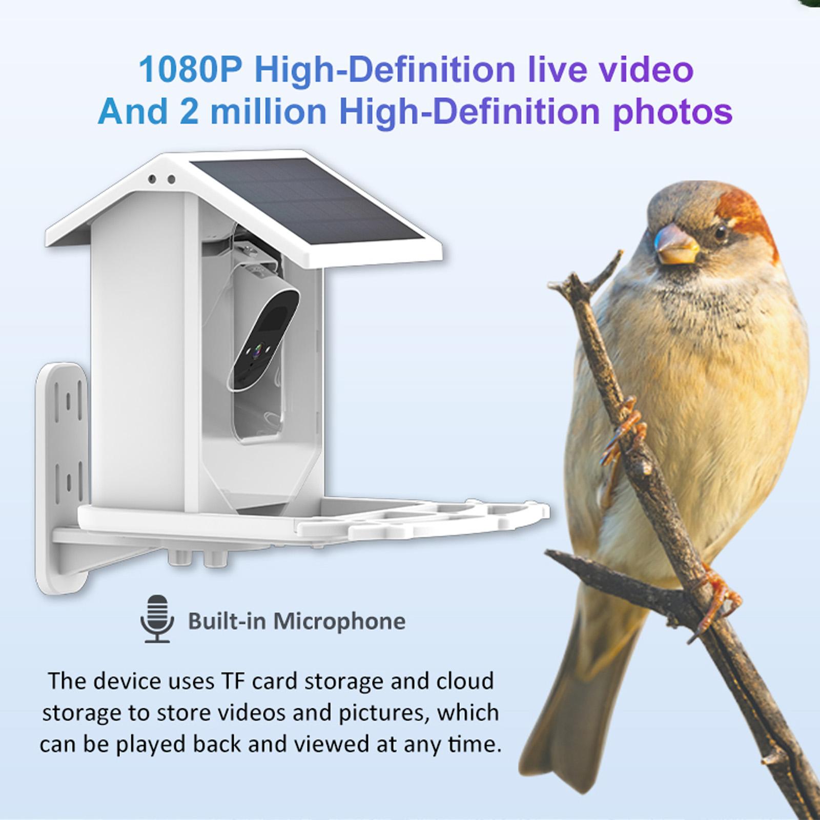 Умная кормушка для птиц с камерой Маломощная солнечная камера для птиц 1080P Камера ночного видения IP66 Водонепроницаемая