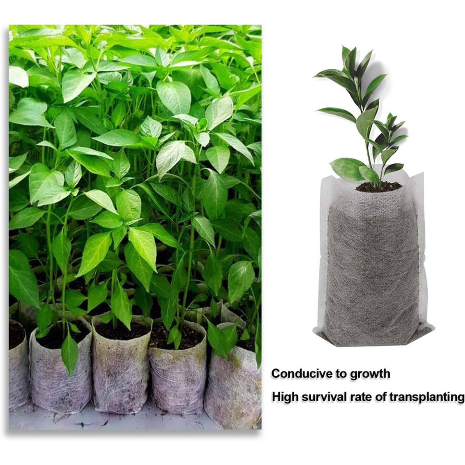 Non Woven Plant Seedling Bags Bags with Flat Mouth Folded Edge for Home Garden Use One Size
Non Woven Plant Seedling Bags Bags with Flat Mouth Folded Edge for Home Garden Use One Size