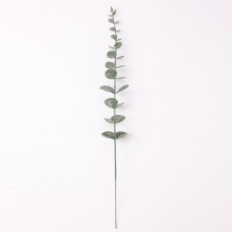 Лист Глобулус Эвкалипт Симуляция Зеленое Растение Украшение Композиция Цветок
Лист Глобулус Эвкалипт Симуляция Зеленое Растение Украшение Композиция Цветок