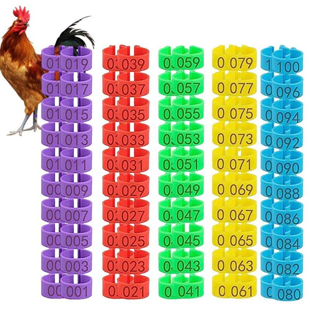 100pcs Portable Poultry Ankle Bands Mixed Colour Bird Leg Sign Rings Bird Training Tool 16mm
100pcs Portable Poultry Ankle Bands Mixed Colour Bird Leg Sign Rings Bird Training Tool 16mm