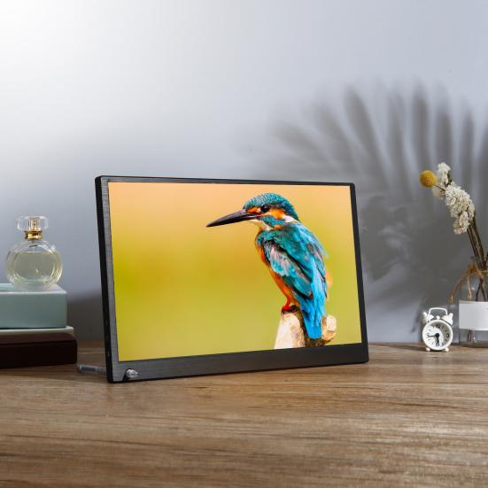 IPS Display1080P HDMI-совместимый USB-C для ПК для Xbox для коммутатора PS4
IPS Display1080P HDMI-совместимый USB-C для ПК для Xbox для коммутатора PS4