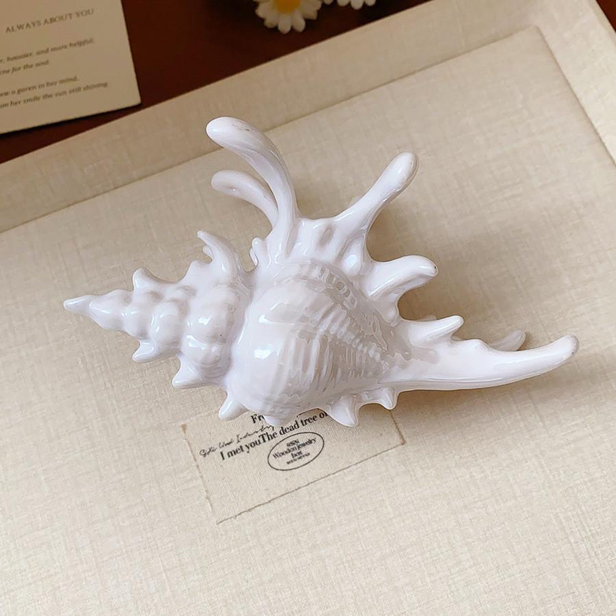 Plastic Conch Hair Clip Women s New Fashionable Resort Style Shark Clip Marine Hair Accessories
Plastic Conch Hair Clip Women s New Fashionable Resort Style Shark Clip Marine Hair Accessories