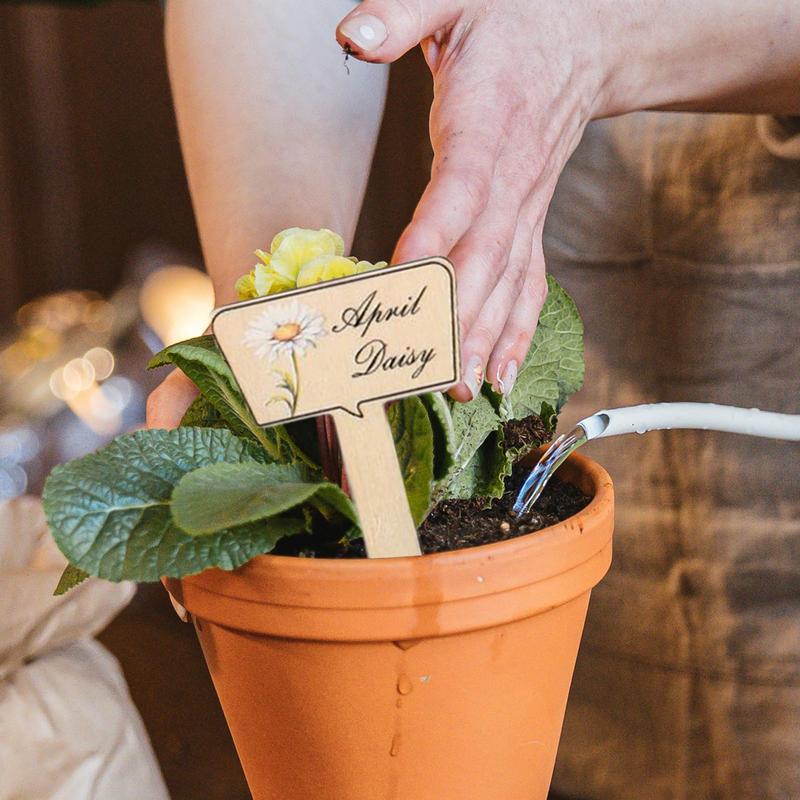 Garden Labels For Plants Wooden Garden Plant Labels Set Of 12 Reusable Name Stakes For Vegetables Fruits Flowers Trees CN
Garden Labels For Plants Wooden Garden Plant Labels Set Of 12 Reusable Name Stakes For Vegetables Fruits Flowers Trees CN