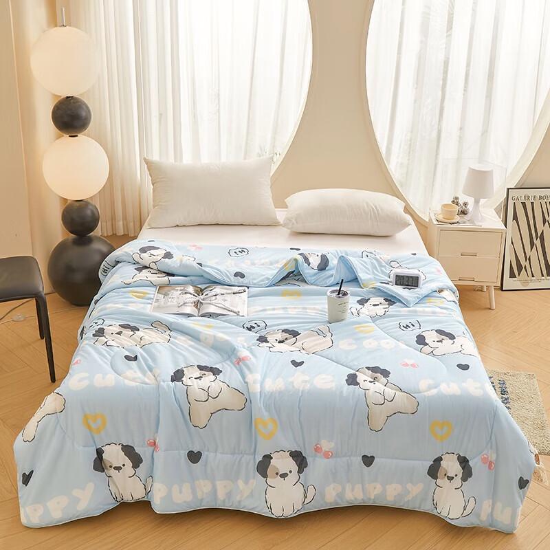 Grace Antibacterial Cool-Feel Summer Quilt
Grace Antibacterial Cool-Feel Summer Quilt