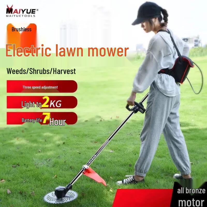 SMVP 24V Cordless Electric Grass Trimmer CN plug (adapter included)
SMVP 24V Cordless Electric Grass Trimmer CN plug (adapter included)