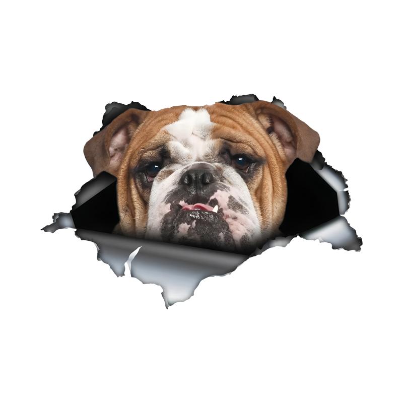 Bulldog Car Bumper Window Stickers For Car Truck Van Fashion Decals Vinyl Material Stickers 15cm-Longest Side
Bulldog Car Bumper Window Stickers For Car Truck Van Fashion Decals Vinyl Material Stickers 15cm-Longest Side