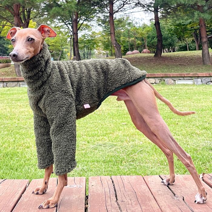 D DOGGY STAR итальянская борзая пушистая с длинным рукавом для и большой бедлингтон-терьер уиппет одежда одежда, боа, однотонная, футболка, маленькая, средняя, оливковый
D DOGGY STAR итальянская борзая пушистая с длинным рукавом для и большой бедлингтон-терьер уиппет одежда одежда, боа, однотонная, футболка, маленькая, средняя, оливковый