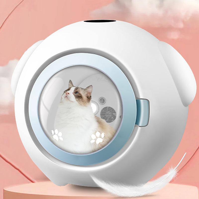 Бытовой небольшой бесшумный фен для собак, сушильный шкаф для груминга, профессиональный вентилятор для сушки кошек, товары для купания домашних животных
Бытовой небольшой бесшумный фен для собак, сушильный шкаф для груминга, профессиональный вентилятор для сушки кошек, товары для купания домашних животных