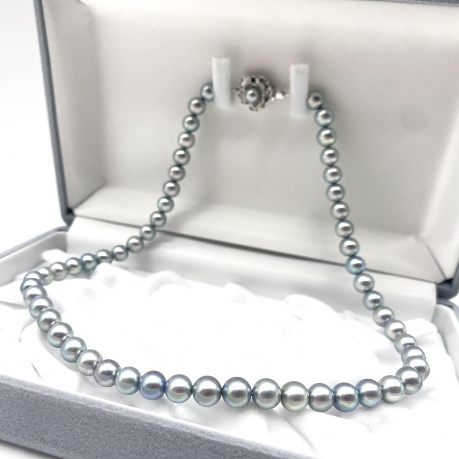 High-Luster Akoya Pearl Necklace Natural Jewelry Blue Gray Approx 43cm 7.0mm–7.5mm 31.7g Silver Hardware
High-Luster Akoya Pearl Necklace Natural Jewelry Blue Gray Approx 43cm 7.0mm–7.5mm 31.7g Silver Hardware