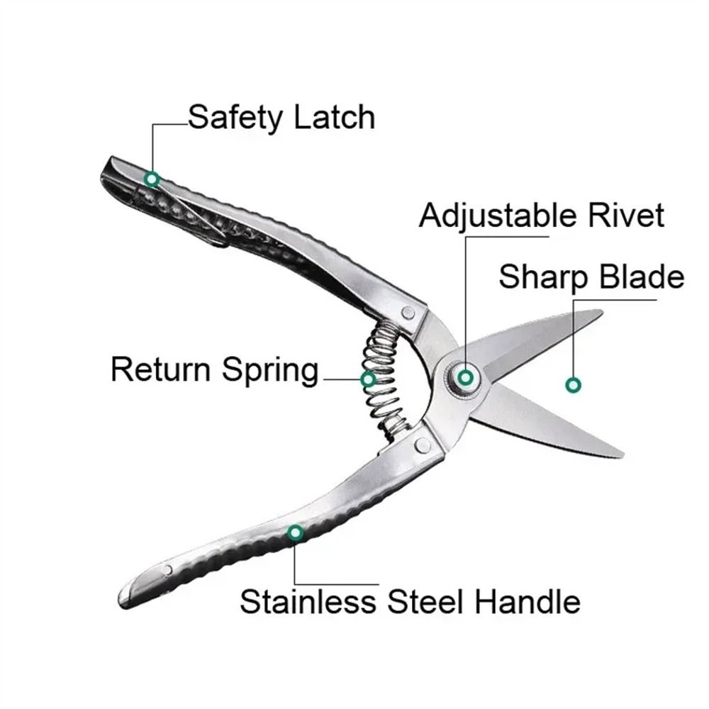 Stainless Steel Branch Shears Straight Head Garden Branch Shear Gardening Tools жовтий
Stainless Steel Branch Shears Straight Head Garden Branch Shear Gardening Tools жовтий