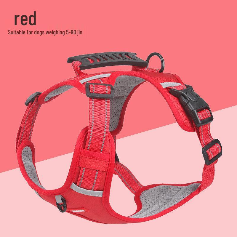 Anti-Burst Dog Harness & Leash for Medium Breeds - Corgi, Shiba Inu, Border Collie S (Weight 10-16 jin)
Anti-Burst Dog Harness & Leash for Medium Breeds - Corgi, Shiba Inu, Border Collie S (Weight 10-16 jin)