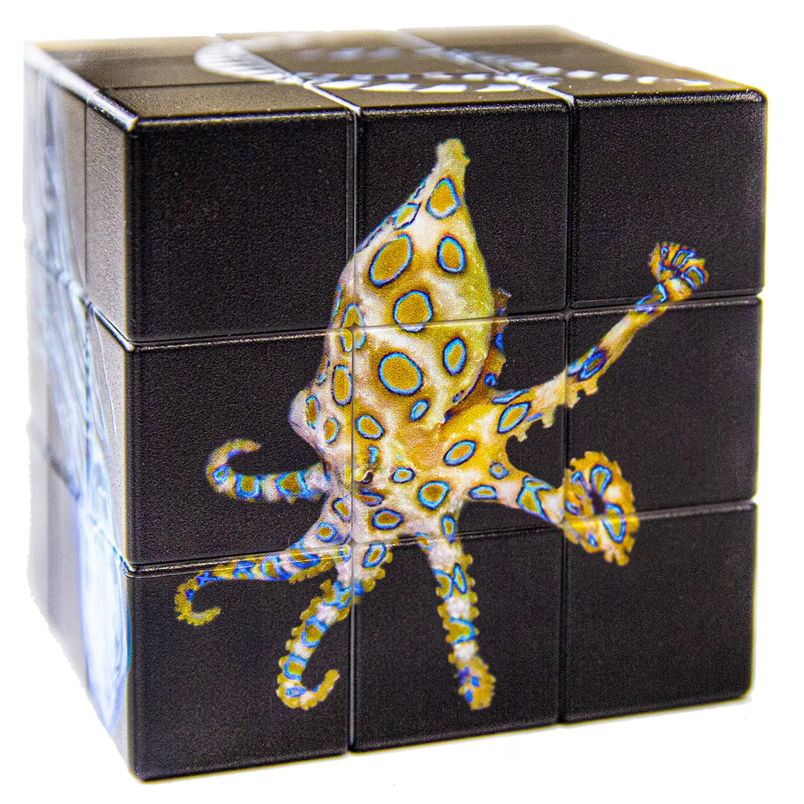 SilverBack 3D Puzzle Dangerous Water Creatures CUBE 3x3 5.5cm Square
SilverBack 3D Puzzle Dangerous Water Creatures CUBE 3x3 5.5cm Square