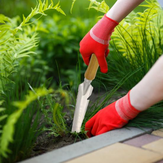 Yousheng Manual Weed Puller Stainless Steel Fork Tip Hand Weeder Weed Remover with Wooden Handle Garden Weeding Tool for Moss And Weed Removal A
Yousheng Manual Weed Puller Stainless Steel Fork Tip Hand Weeder Weed Remover with Wooden Handle Garden Weeding Tool for Moss And Weed Removal A