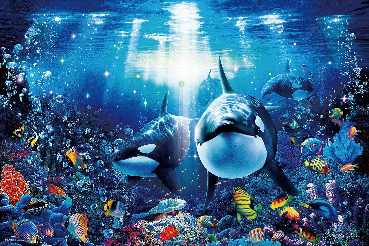 1000 Piece Luminous Jigsaw Puzzle Aim to be a Puzzle Lassen Orca Reef Master! (50x75cm)
1000 Piece Luminous Jigsaw Puzzle Aim to be a Puzzle Lassen Orca Reef Master! (50x75cm)