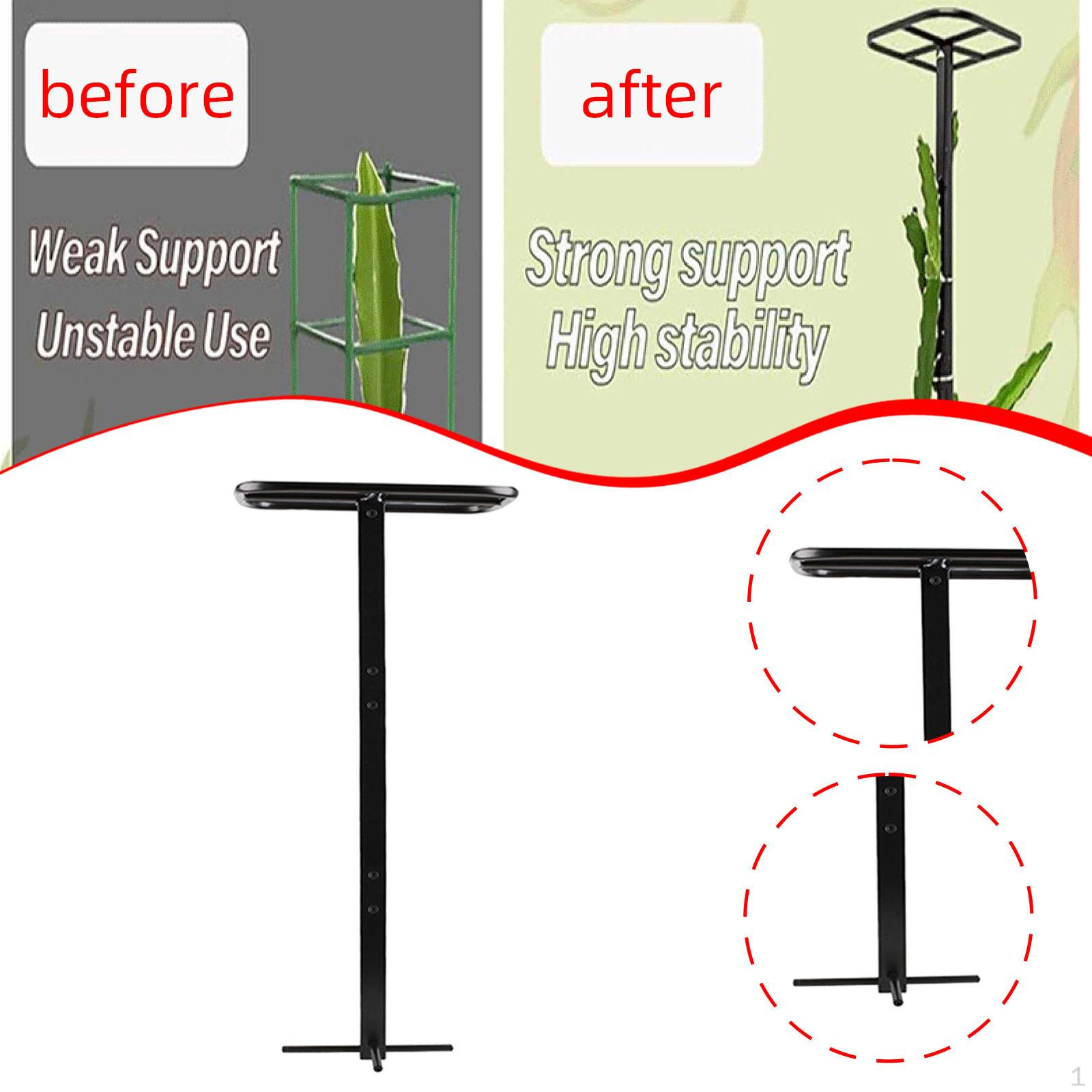 Dragon Fruit Trellis, Potted Plant Support, Versatile Garden Climbing Support Trellis for
Dragon Fruit Trellis, Potted Plant Support, Versatile Garden Climbing Support Trellis for