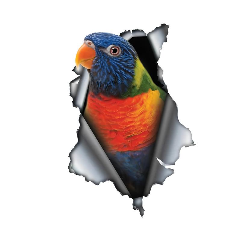 Rainbow Lorikeet Animal Car Stickers, Waterproof Pvc Decals With 3D Effect, Block Scratches and Increase Fun Auto Parts 15cm-Longest Side
Rainbow Lorikeet Animal Car Stickers, Waterproof Pvc Decals With 3D Effect, Block Scratches and Increase Fun Auto Parts 15cm-Longest Side