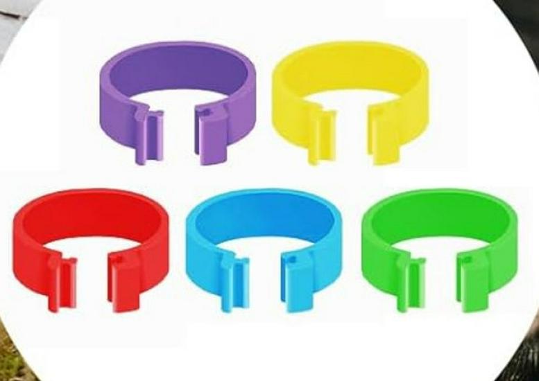 16mm Multi-color Numbered Chicken and Duck Identification Foot Ring
16mm Multi-color Numbered Chicken and Duck Identification Foot Ring