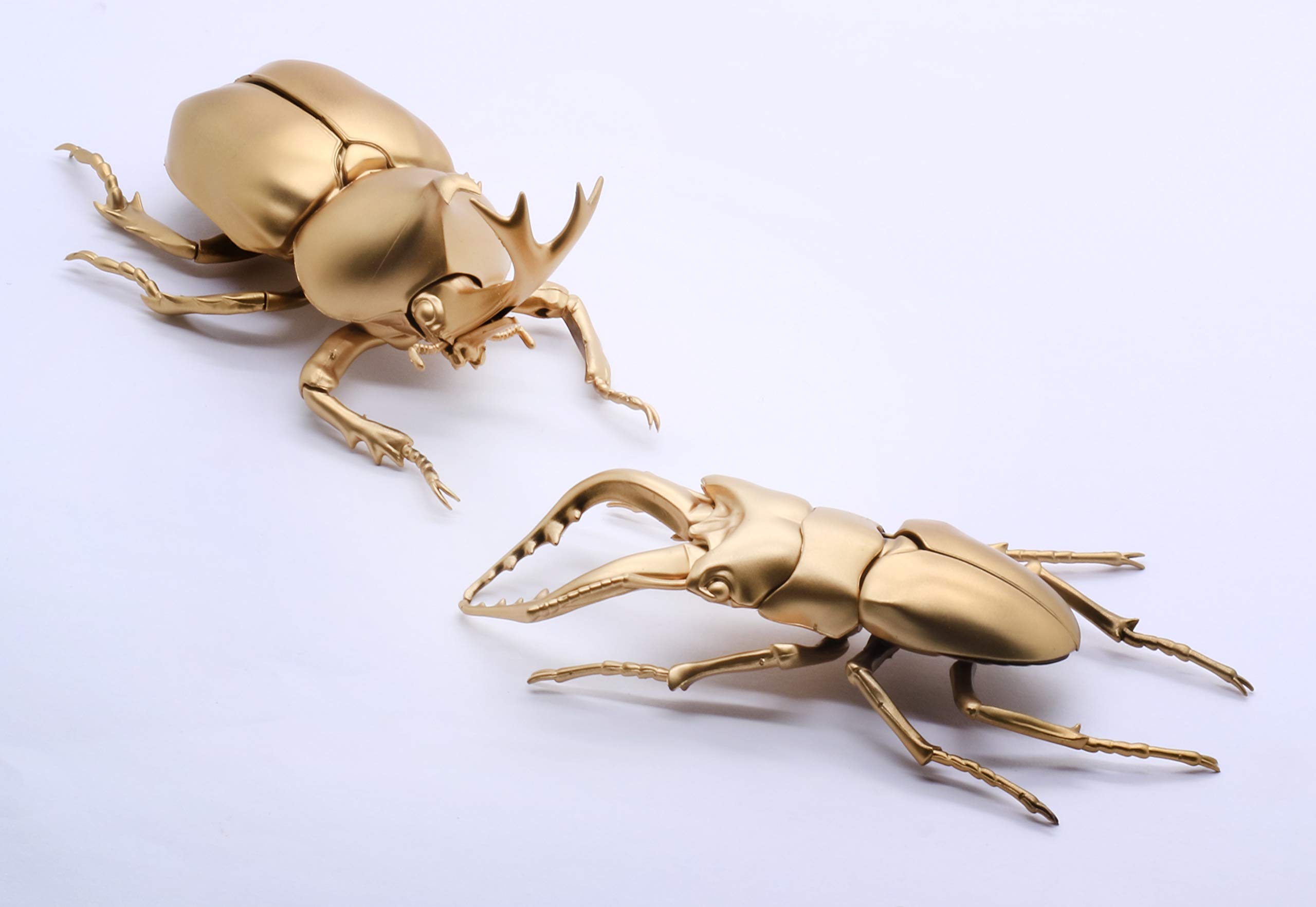 Fujimi Model Free Research Series Creature Edition Stag Beetle vs Beetle Showdown Set Color Coded Plastic Model Free Research No.25 EX-1 (Gold
Fujimi Model Free Research Series Creature Edition Stag Beetle vs Beetle Showdown Set Color Coded Plastic Model Free Research No.25 EX-1 (Gold