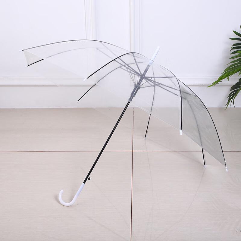 Creative Clear Straight Umbrella
Creative Clear Straight Umbrella