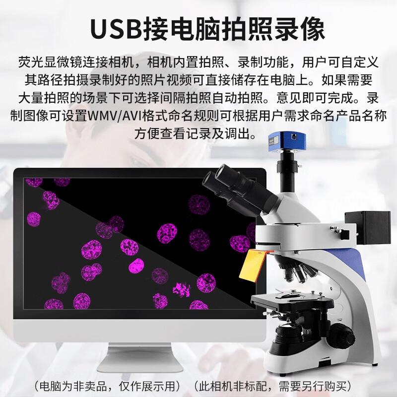 Murzider MSD520 Infinite Corrected Upright Fluorescence Microscope
Murzider MSD520 Infinite Corrected Upright Fluorescence Microscope