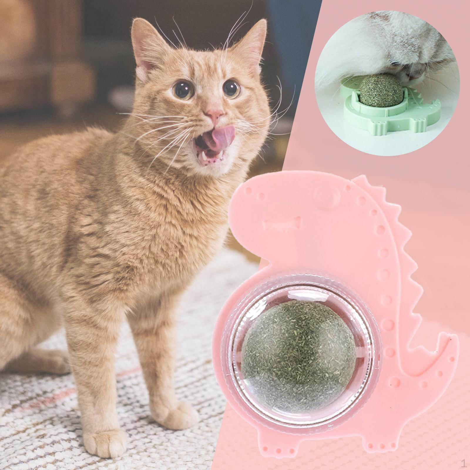 Catnip Balls Removable Interactive Safe for Cat Snacks Pet Supplies
Catnip Balls Removable Interactive Safe for Cat Snacks Pet Supplies