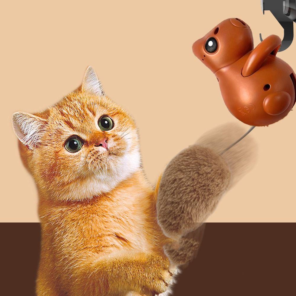 Plastic Electric Cat Ball Toys Squirrel Shaped Cat Training Game Toys Kitten Playing коричневый
Plastic Electric Cat Ball Toys Squirrel Shaped Cat Training Game Toys Kitten Playing коричневый