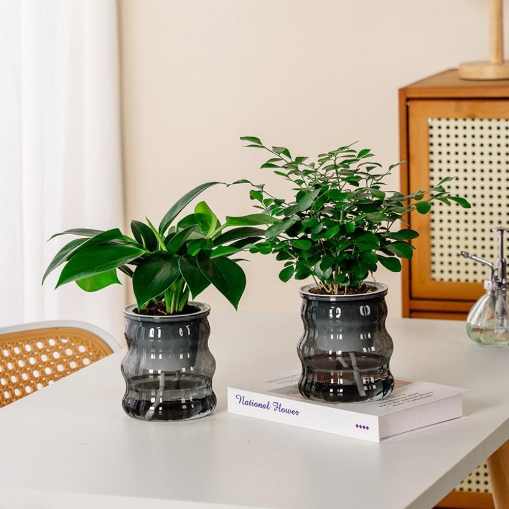 Removable Flowerpot Self Watering Mini Succulent Planter Tabletop Vase Office Bonsai Decor білий
Removable Flowerpot Self Watering Mini Succulent Planter Tabletop Vase Office Bonsai Decor білий