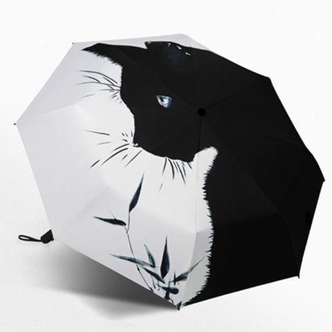 Automatic Open Close Windproof Umbrella, 38.6 Inch Large Canopy & 8 Fiberglass Ribs, All Weather Black Lining UPF 50+ Sun Rain, Iron&8K
Automatic Open Close Windproof Umbrella, 38.6 Inch Large Canopy & 8 Fiberglass Ribs, All Weather Black Lining UPF 50+ Sun Rain, Iron&8K