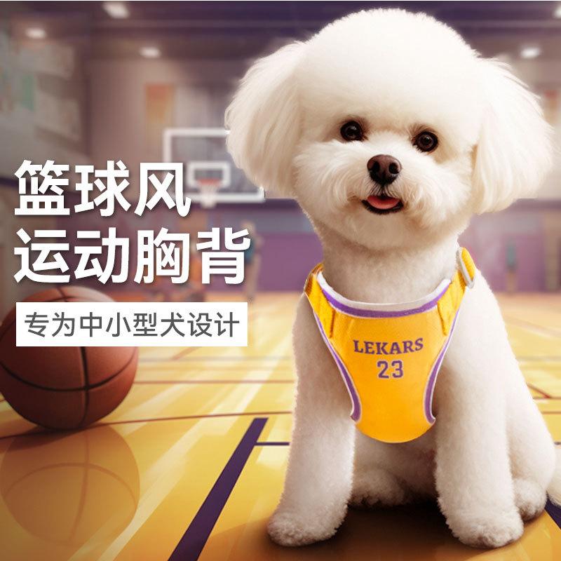 Dog leash dog leash dog leash vest chest strap small dog teddy bear lead dog leash out to walk the dog S (applicable weight 0-2 kg)
Dog leash dog leash dog leash vest chest strap small dog teddy bear lead dog leash out to walk the dog S (applicable weight 0-2 kg)