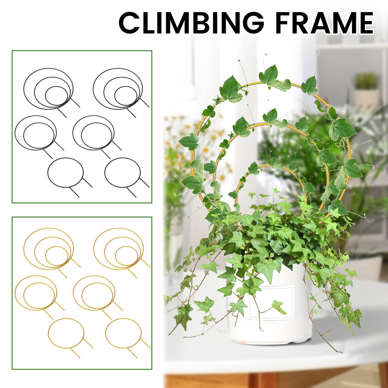 6Pcs Plant Support Stake Stand Round Garden Vine Climbing Rack Metal Balcony Bonsai Flower Fixing Pile Trellis
6Pcs Plant Support Stake Stand Round Garden Vine Climbing Rack Metal Balcony Bonsai Flower Fixing Pile Trellis