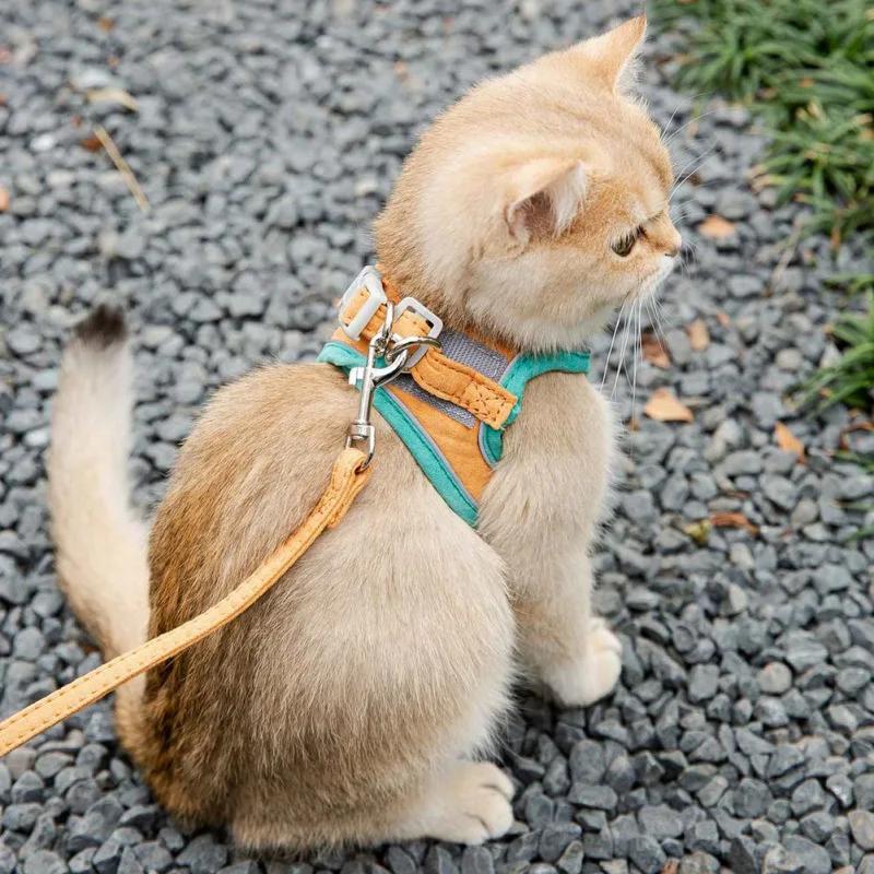 Cat Harness Leash Set for Chihuahua Accessories Dog Cat Vest Pug Leashes Walking Tools Walk Out Leads Products S
Cat Harness Leash Set for Chihuahua Accessories Dog Cat Vest Pug Leashes Walking Tools Walk Out Leads Products S