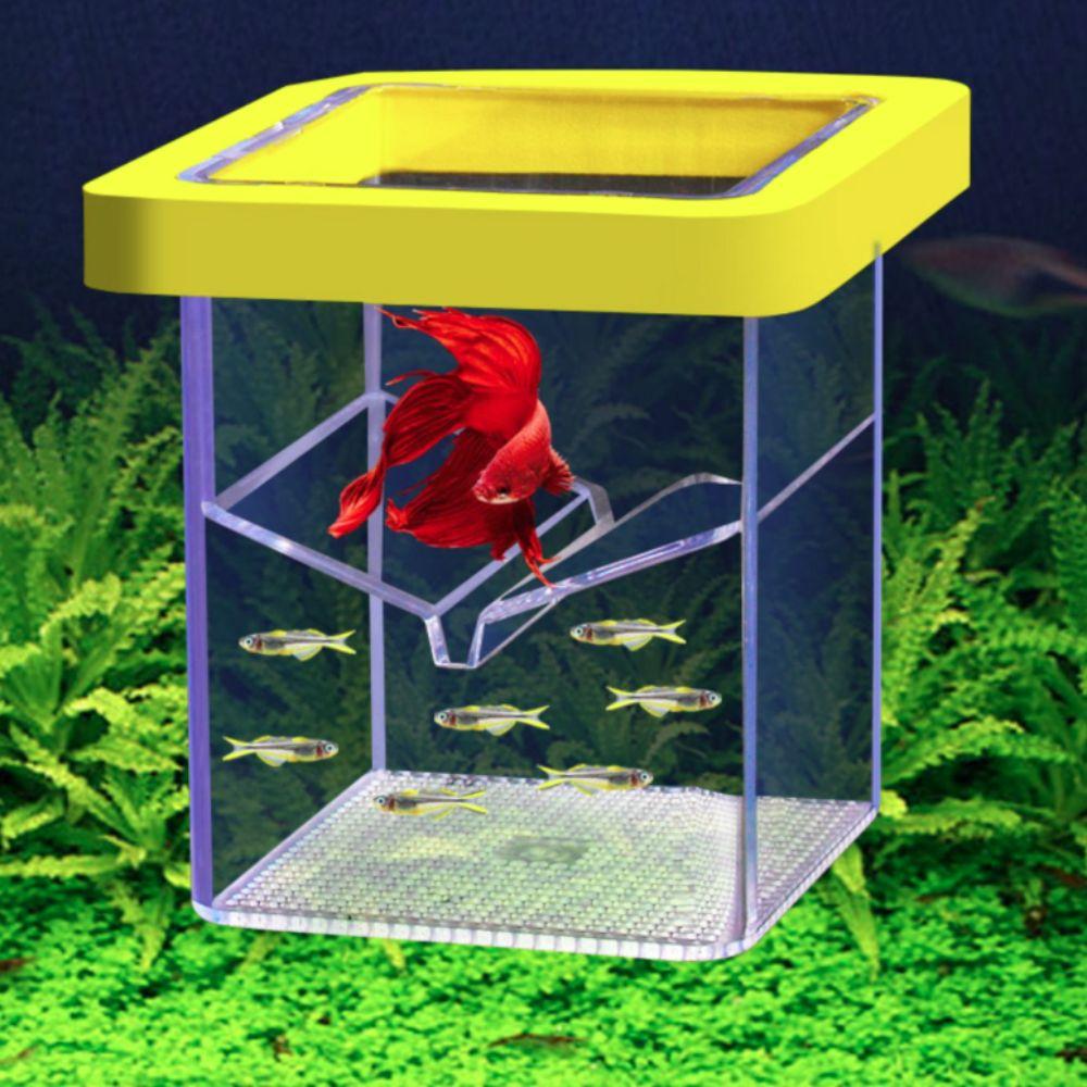 Acrylic Fish Nursery Incubation Box Double Layer Fish Breeding Isolation Box Shrimp прозорий
Acrylic Fish Nursery Incubation Box Double Layer Fish Breeding Isolation Box Shrimp прозорий