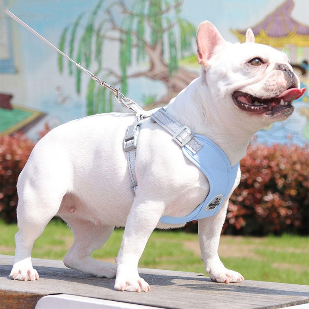 X Shaped Puppy Cat Chest Straps Soft Adjustable Pet Harnesses Practical Dog Harness Vest Walking L жовтий
X Shaped Puppy Cat Chest Straps Soft Adjustable Pet Harnesses Practical Dog Harness Vest Walking L жовтий