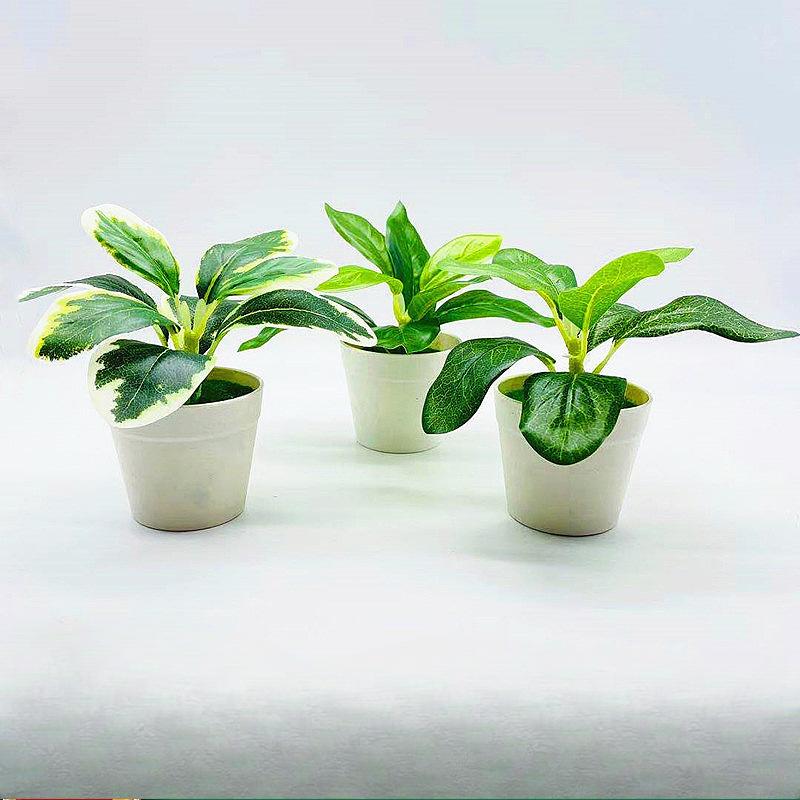 Artificial Green PlantsSmall Potted Plants Desktop Decoration Artificial Flower Bonsaiand Artificial Flower Plants Reticulate leaf
Artificial Green PlantsSmall Potted Plants Desktop Decoration Artificial Flower Bonsaiand Artificial Flower Plants Reticulate leaf