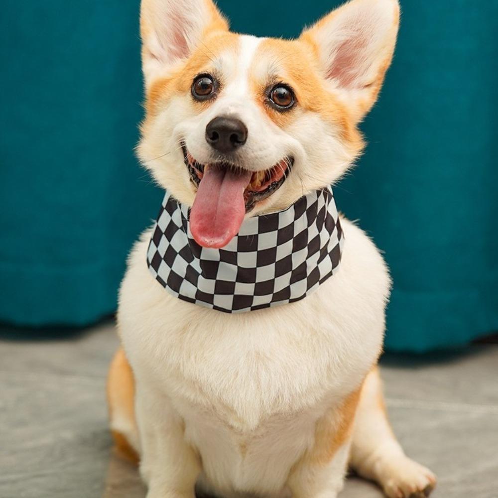 Cartoon Cooling Ice Scarf Heatstroke Prevention Dog Collar Durable Pet Scarf Outdoor S-Style A
Cartoon Cooling Ice Scarf Heatstroke Prevention Dog Collar Durable Pet Scarf Outdoor S-Style A