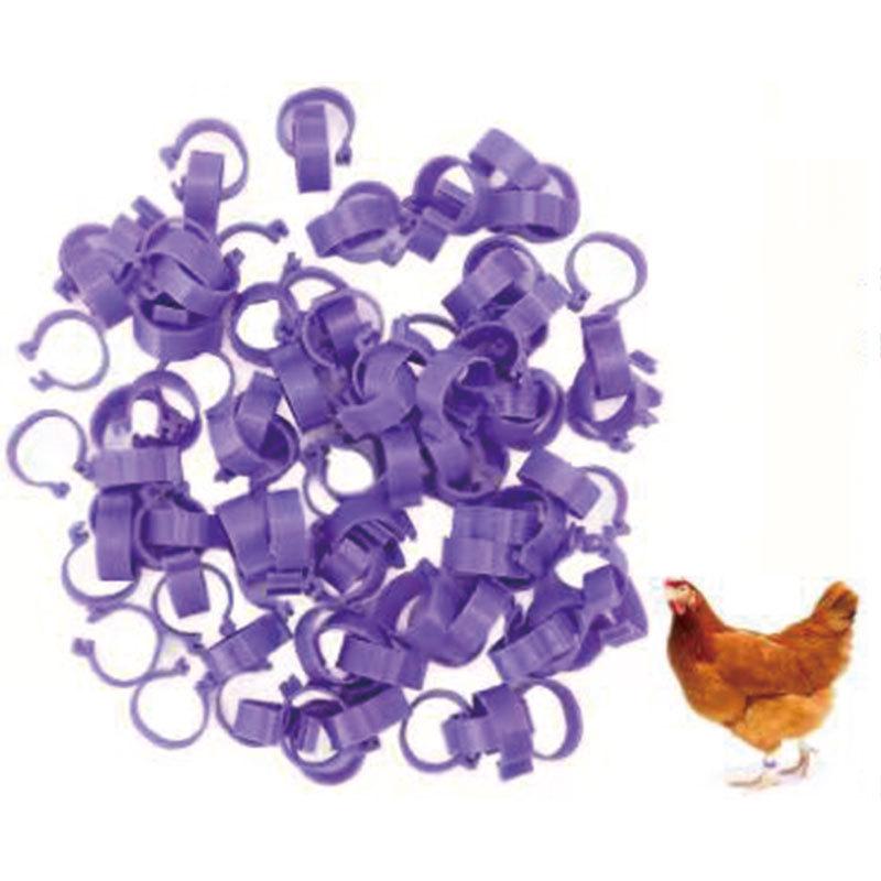Adjustable 1.6mm Poultry Leg Rings - Color Options for Chickens, Ducks, and Geese Green Foot Ring
Adjustable 1.6mm Poultry Leg Rings - Color Options for Chickens, Ducks, and Geese Green Foot Ring