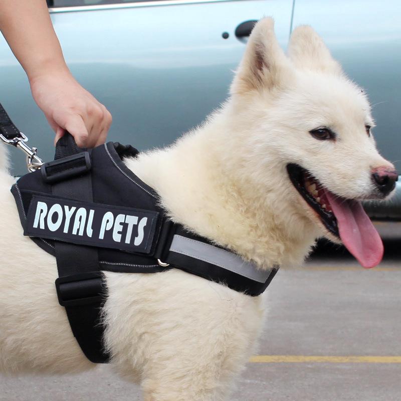 Pet Chest and Back Jacket Chest and Shoulder Strap Dog Strap Pet Supplies Anti Impact Dog Traction Rope XS
Pet Chest and Back Jacket Chest and Shoulder Strap Dog Strap Pet Supplies Anti Impact Dog Traction Rope XS