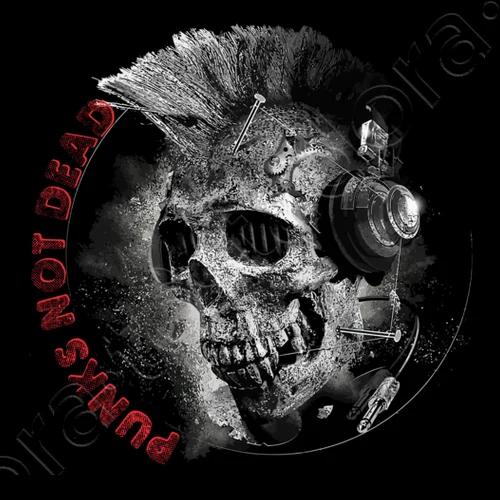 Punks Not Dead Personalized Rock Punk Skull TShirt 100 Cotton ONeck Short Sleeve Summer Casual Mens Tshirt Streetwear 4XL
Punks Not Dead Personalized Rock Punk Skull TShirt 100 Cotton ONeck Short Sleeve Summer Casual Mens Tshirt Streetwear 4XL