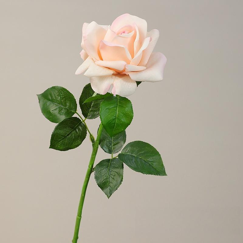 Real Touch Light Luxury Mary Roses Artificial Flowers Hotel Decorative Simulation Rose Branch Silk Fake Flower Table Decoration 4pcs світло-рожевий колір
Real Touch Light Luxury Mary Roses Artificial Flowers Hotel Decorative Simulation Rose Branch Silk Fake Flower Table Decoration 4pcs світло-рожевий колір