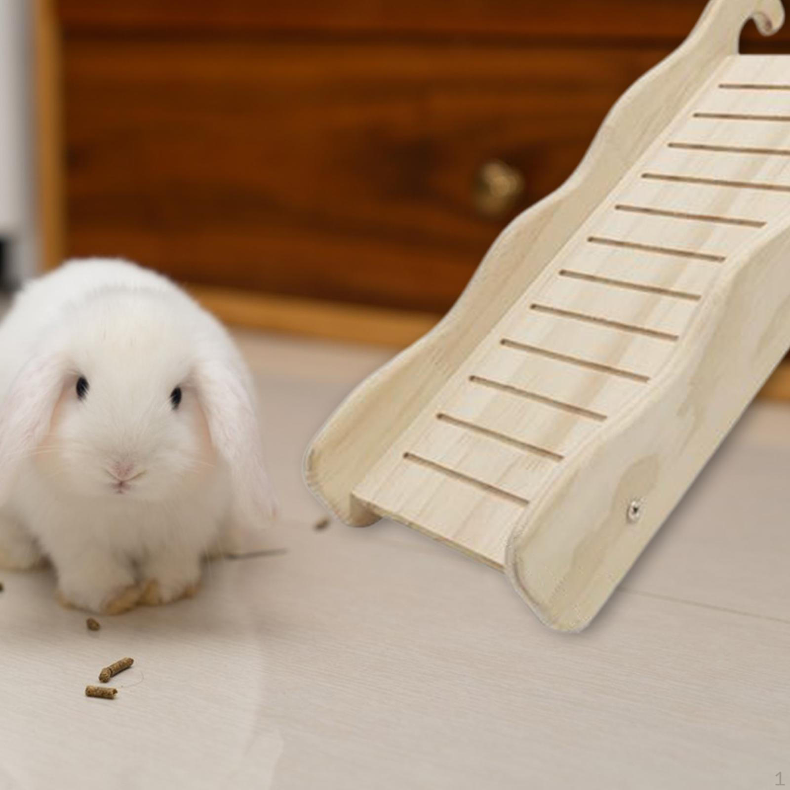 Rabbit Ramp Dwarf Hamster Bridge for Small Decor Accessory Solid Wood Bunny Hutch
Rabbit Ramp Dwarf Hamster Bridge for Small Decor Accessory Solid Wood Bunny Hutch