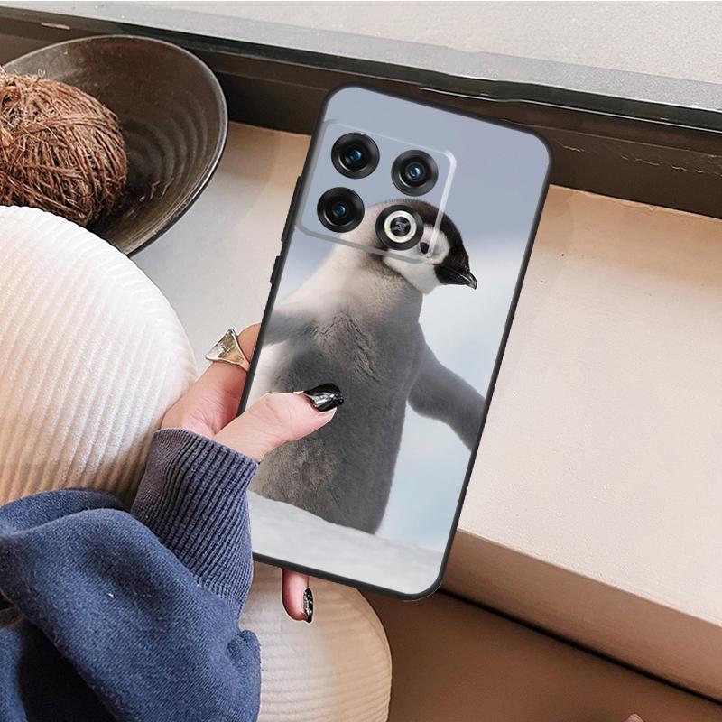 Чехол Пингвин Снег Арктика Милое Животное для OnePlus 15 R 13 R 12R 10R 8T 10T 13T 12 11 10 Pro Nord 5 CE 4 3 2 Lite N20 N30 OnePlus 10R
Чехол Пингвин Снег Арктика Милое Животное для OnePlus 15 R 13 R 12R 10R 8T 10T 13T 12 11 10 Pro Nord 5 CE 4 3 2 Lite N20 N30 OnePlus 10R