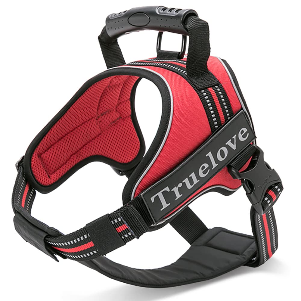 Paradise Dog Official Japanese Easy to Put Gentle on the 3M Reflective Popular J&C 2-Way Harness, Retailer, Figure-Eight Shape, on, Throat, Stickers,
Paradise Dog Official Japanese Easy to Put Gentle on the 3M Reflective Popular J&C 2-Way Harness, Retailer, Figure-Eight Shape, on, Throat, Stickers,