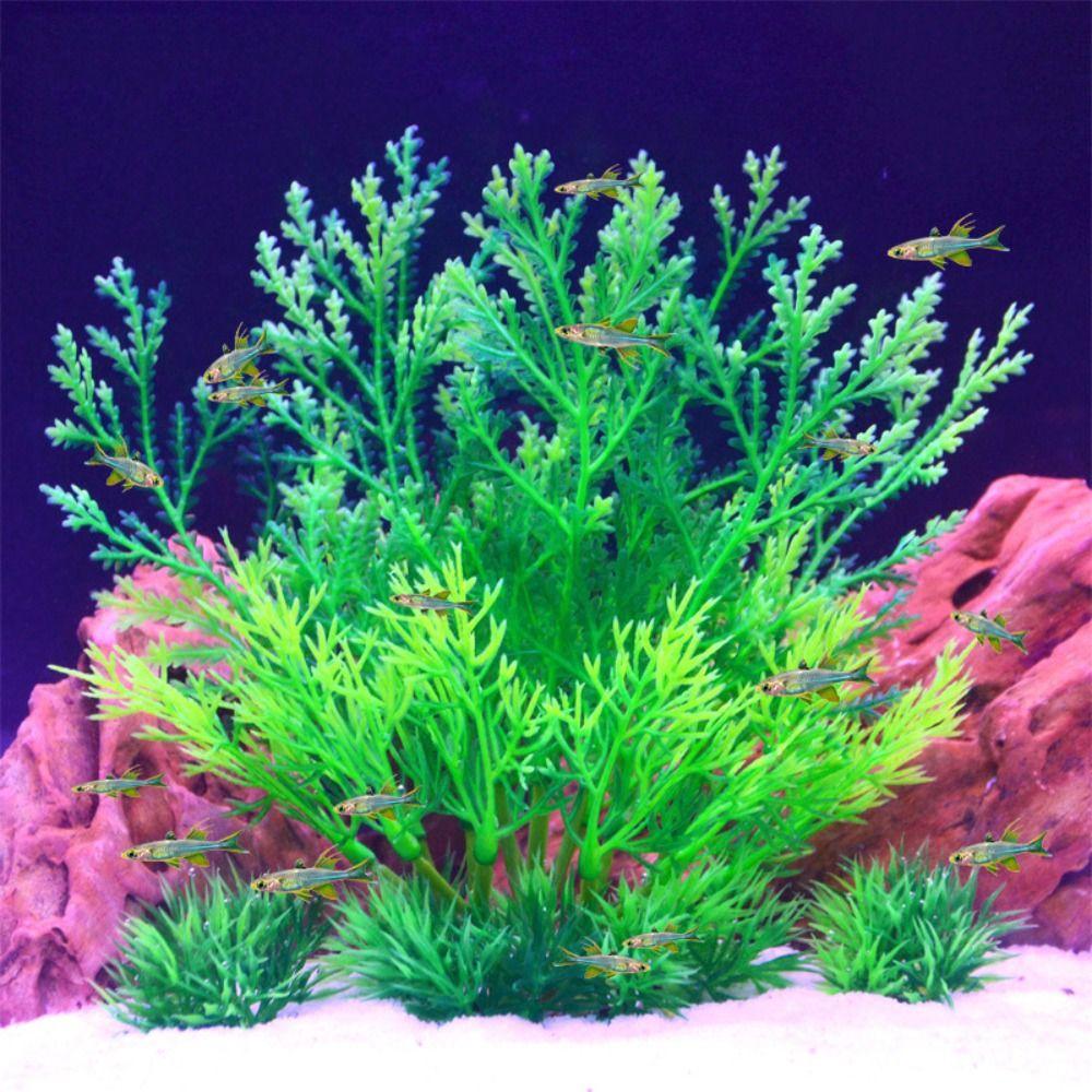 2pcs Creative Fake Grass Plastic Artificial Seaweed Water Grass Aquatic Plants Home зелений
2pcs Creative Fake Grass Plastic Artificial Seaweed Water Grass Aquatic Plants Home зелений