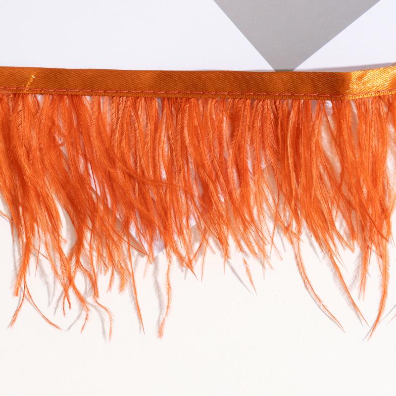 60 Color Ostrich Hair Cloth Edge 8-10Cm Dress Fashion Decoration Feather Cloth With Tassel Clothing Accessories 10pcs темно-помаранчевий колір
60 Color Ostrich Hair Cloth Edge 8-10Cm Dress Fashion Decoration Feather Cloth With Tassel Clothing Accessories 10pcs темно-помаранчевий колір