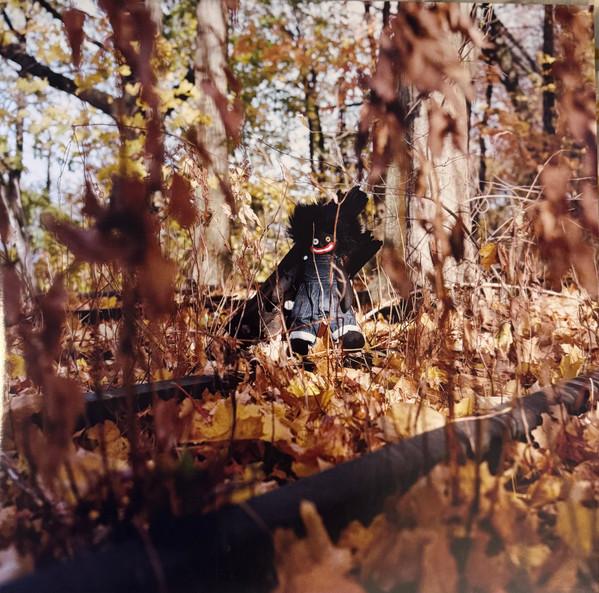 LP Record BILLY WOODS Golliwog BWZ804 Backwoodz Studi 2025 USA Euro Rap HipHopRB
LP Record BILLY WOODS Golliwog BWZ804 Backwoodz Studi 2025 USA Euro Rap HipHopRB