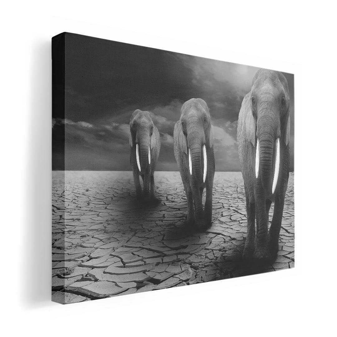 Art 420mm x Wall Wooden Stylish Interior Elephant Panel, Painting, Decoration, igsticker, 297mm, A3, Photo, Hanging, Frame, Decor, 025853, Animal,
Art 420mm x Wall Wooden Stylish Interior Elephant Panel, Painting, Decoration, igsticker, 297mm, A3, Photo, Hanging, Frame, Decor, 025853, Animal,